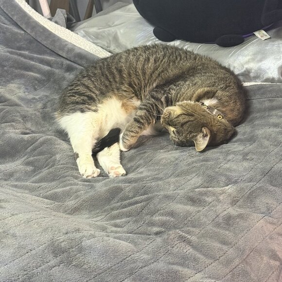 Don't Sleep On These Amazing Deals - Picture 5 of 7